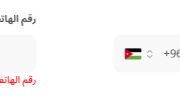 Neque quibusdam anim